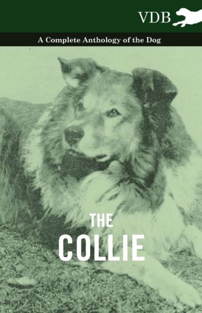 Book Cover for Collie - A Complete Anthology of the Dog - by Various