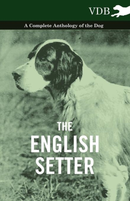 Book Cover for English Setter - A Complete Anthology of the Dog by Various