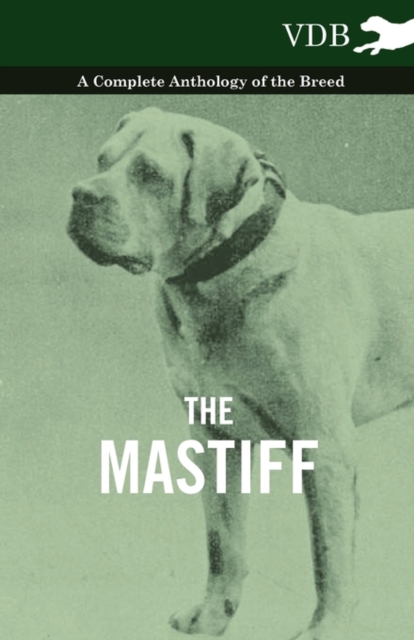 Book Cover for Mastiff - A Complete Anthology of the Breed by Various