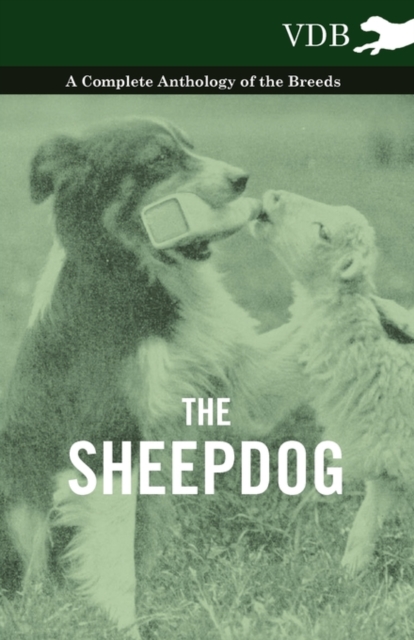 Book Cover for Sheepdog - A Complete Anthology of the Breeds by Various