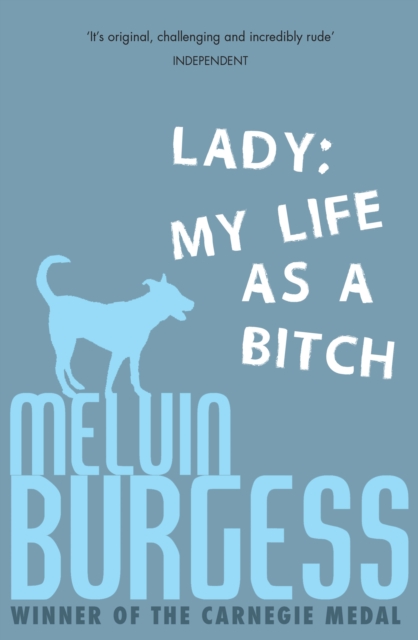 Book Cover for Lady by Melvin Burgess