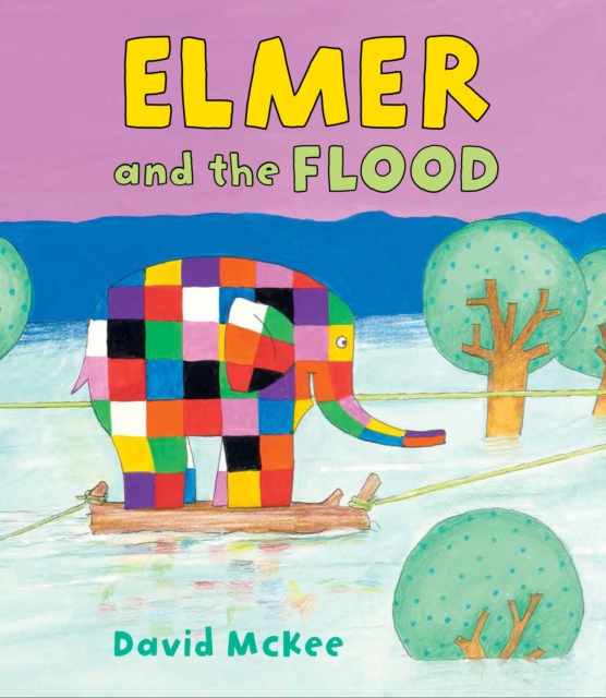 Book Cover for Elmer and the Flood by David McKee