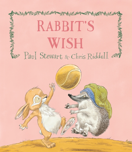 Book Cover for Rabbit's Wish by Paul Stewart