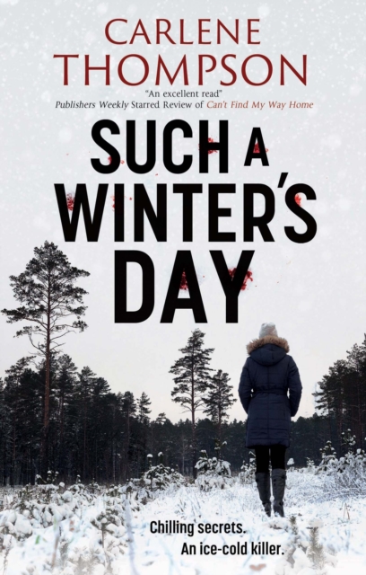 Book Cover for Such a Winter's Day by Carlene Thompson