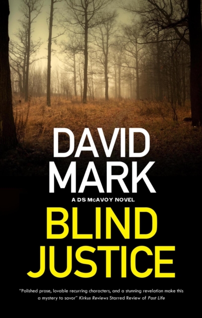Book Cover for Blind Justice by David Mark