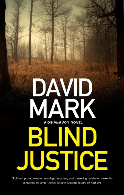 Book Cover for Blind Justice by Mark, David