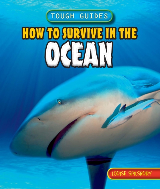 Book Cover for How to Survive in the Ocean by Louise Spilsbury