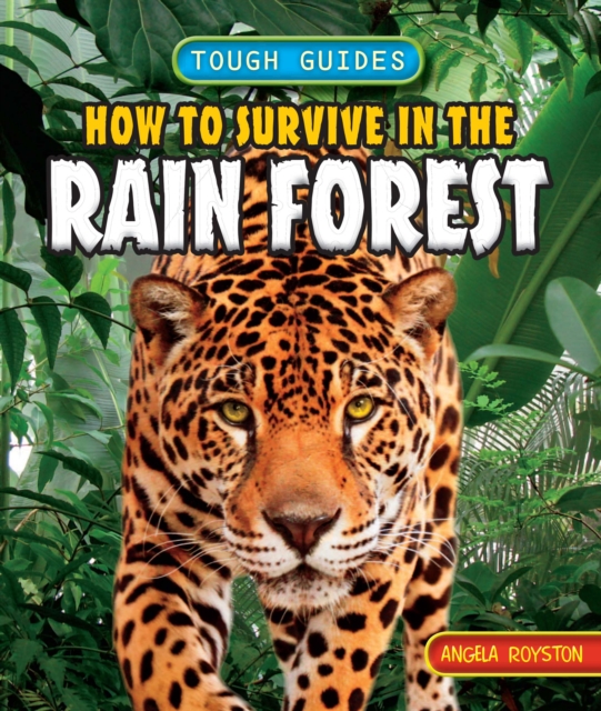 Book Cover for How to Survive in the Rainforest by Angela Royston