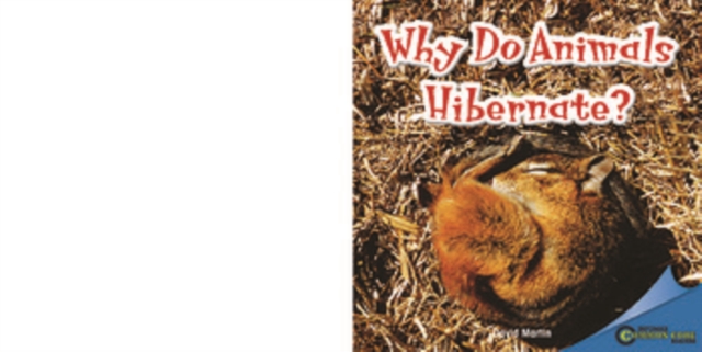 Book Cover for Why Do Animals Hibernate? by Martin, David