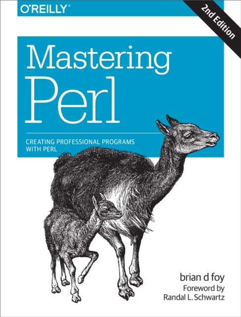 Book Cover for Mastering Perl by brian d foy