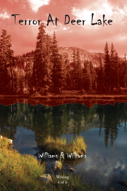 Book Cover for Terror at Deer Lake by Williams