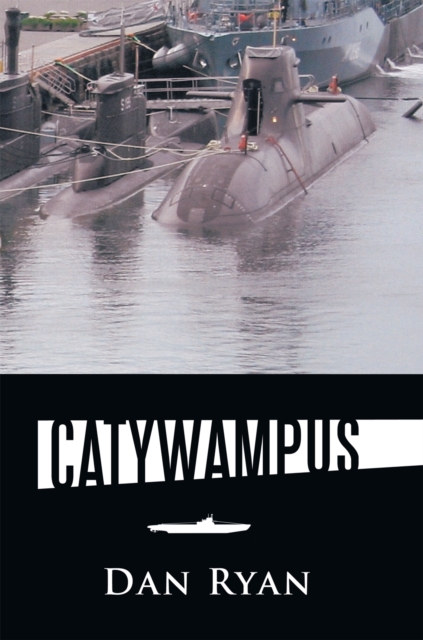 Book Cover for Catywampus by Dan Ryan