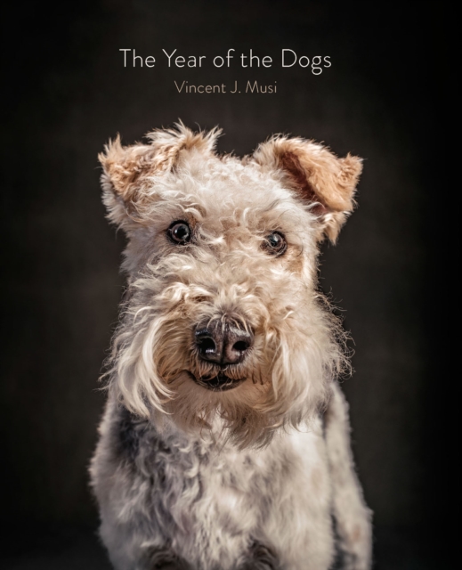 Book Cover for Year of the Dogs by Vincent J. Musi