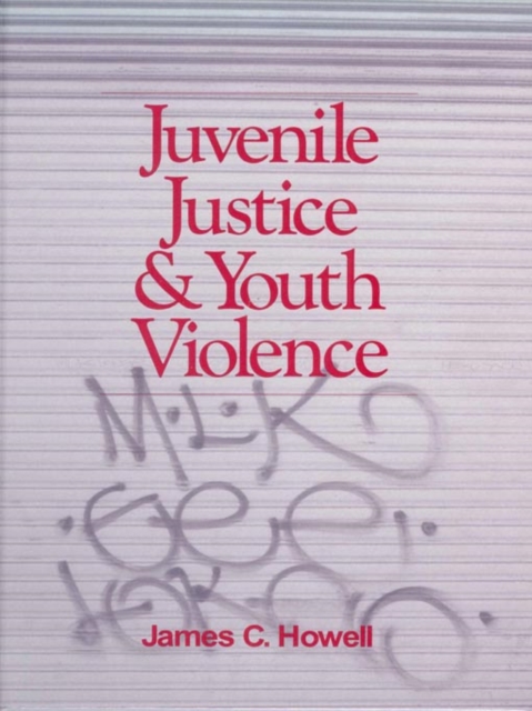 Book Cover for Juvenile Justice and Youth Violence by Howell, James C.