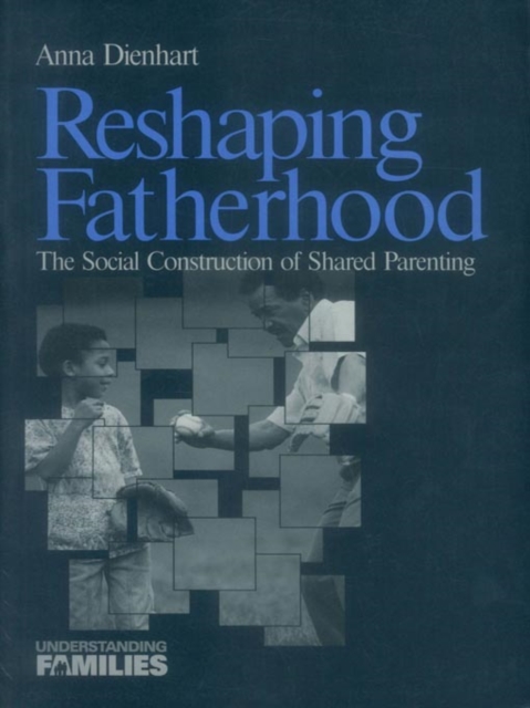 Book Cover for Reshaping Fatherhood by Anna Dienhart