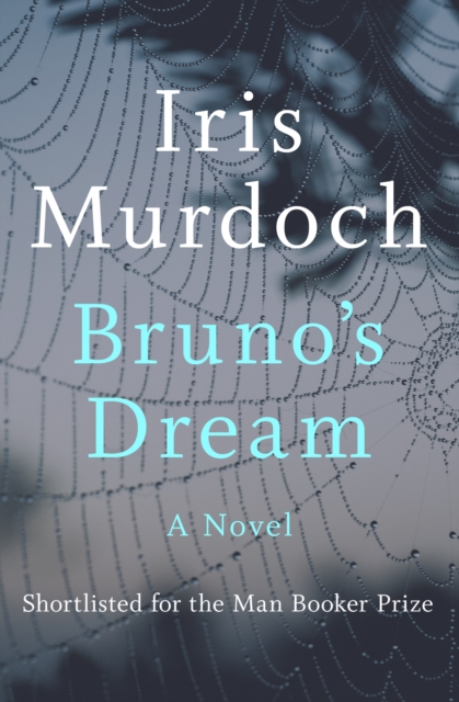 Book Cover for Bruno's Dream by Murdoch, Iris