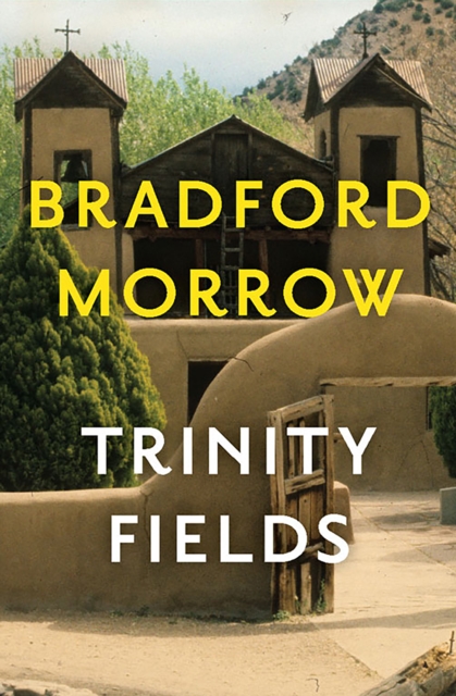 Book Cover for Trinity Fields by Bradford Morrow