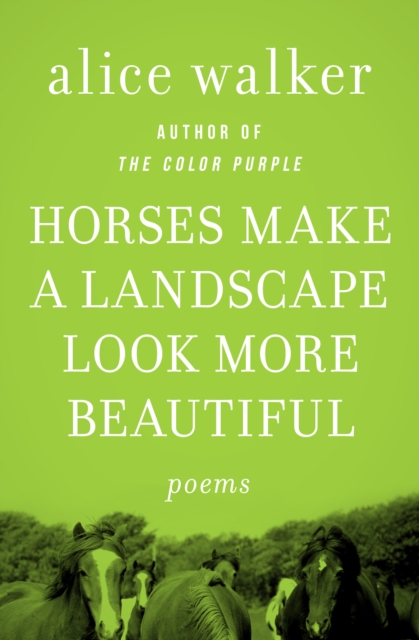 Book Cover for Horses Make a Landscape Look More Beautiful by Alice Walker