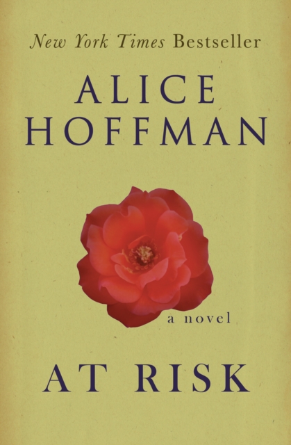 Book Cover for At Risk by Alice Hoffman