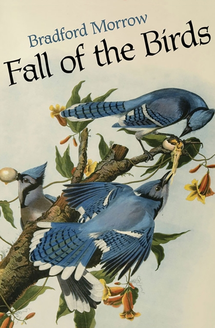Book Cover for Fall of the Birds by Bradford Morrow