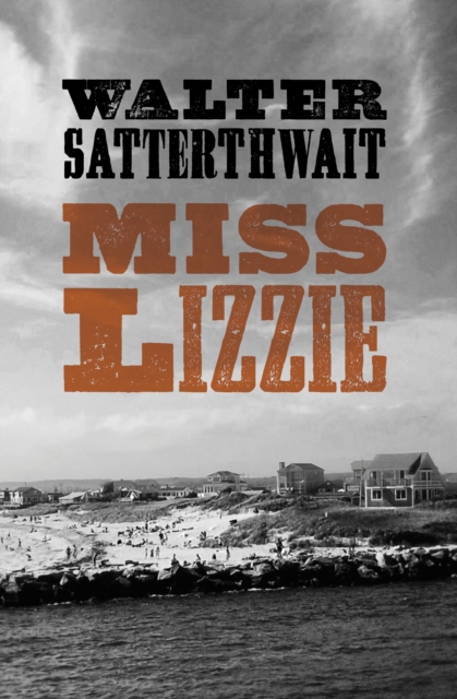 Book Cover for Miss Lizzie by Satterthwait, Walter