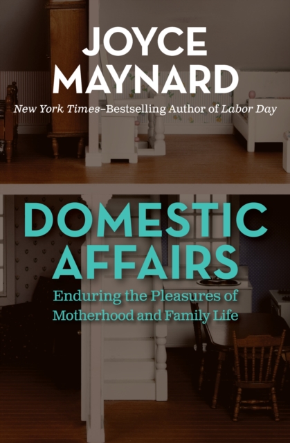 Book Cover for Domestic Affairs by Joyce Maynard