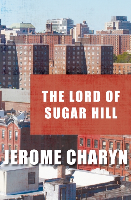 Book Cover for Lord of Sugar Hill by Jerome Charyn