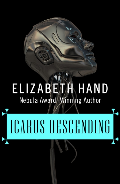 Book Cover for Icarus Descending by Hand, Elizabeth