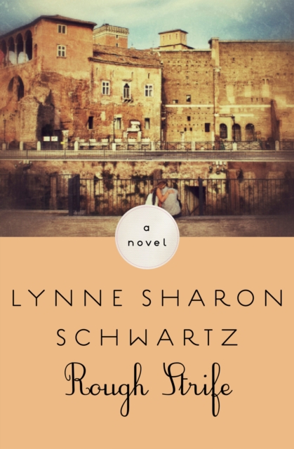 Book Cover for Rough Strife by Lynne Sharon Schwartz