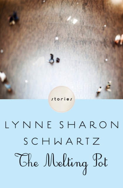 Book Cover for Melting Pot by Lynne Sharon Schwartz