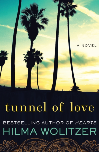 Book Cover for Tunnel of Love by Hilma Wolitzer