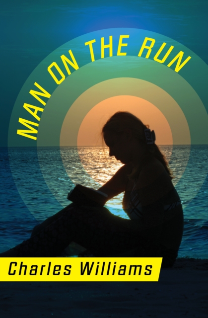 Book Cover for Man on the Run by Charles Williams