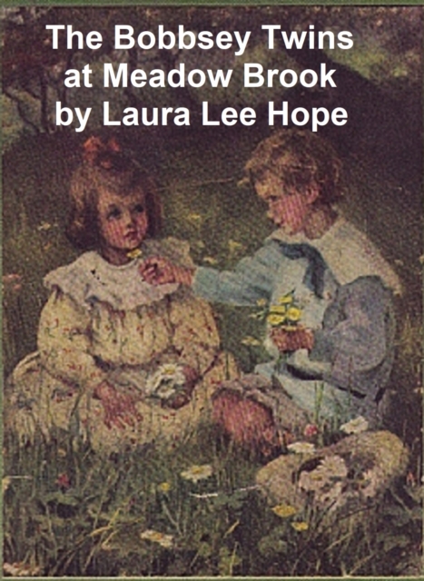 Book Cover for Bobbsey Twins at Meadow Brook by Laura Lee Hope