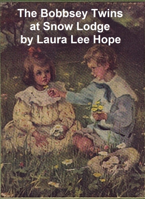 Book Cover for Bobbsey Twins at Snow Lodge by Laura Lee Hope