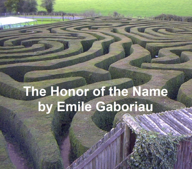 Book Cover for Honor of the Name by Emile Gaboriau