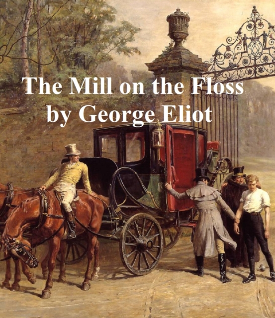 Book Cover for Mill on the Floss by George Eliot