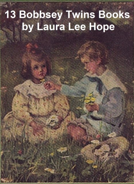 Book Cover for 13 Bobbsey Twins Books by Laura Lee Hope