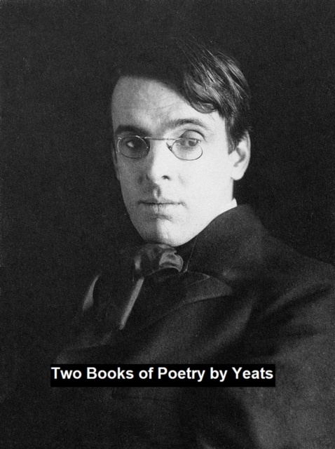 Book Cover for Two Books of Poetry by William Butler Yeats