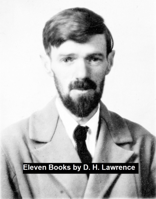 Book Cover for Eleven Books by D.H. Lawrence