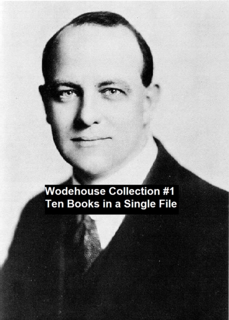 Book Cover for Wodehouse Collection #1 Ten Books in a Single File by P. G. Wodehouse