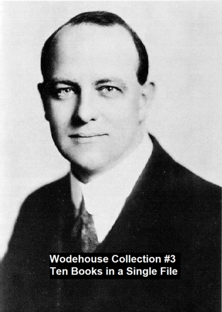 Book Cover for Wodehouse Collection #3 Ten Books in a Single File by P. G. Wodehouse