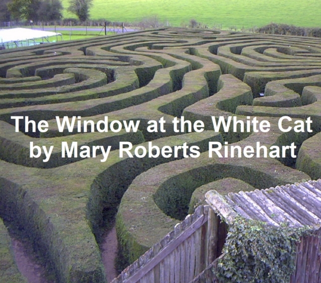 Book Cover for Window at the White Cat by Mary Roberts Rinehart