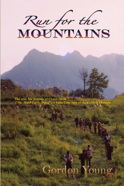 Book Cover for Run for the Mountains by Gordon Young