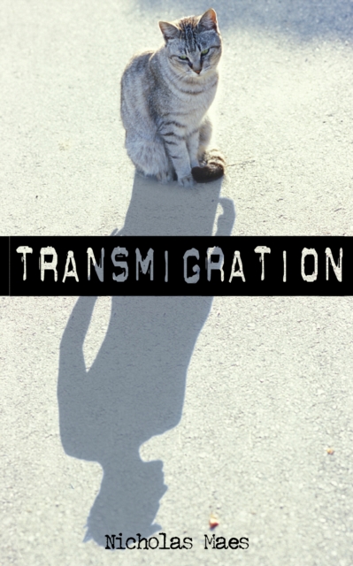 Book Cover for Transmigration by Nicholas Maes