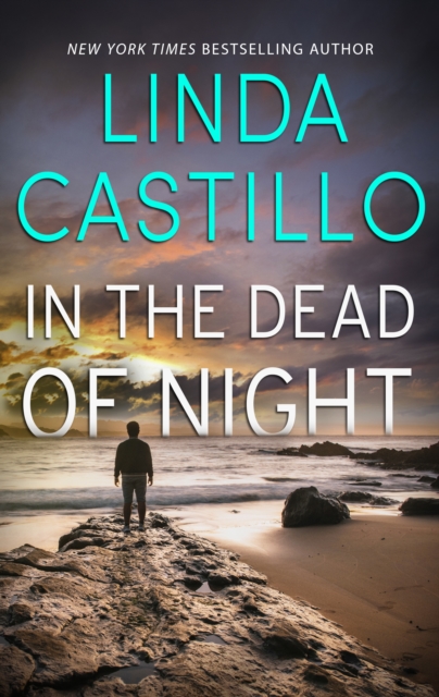 Book Cover for In The Dead Of Night by Linda Castillo