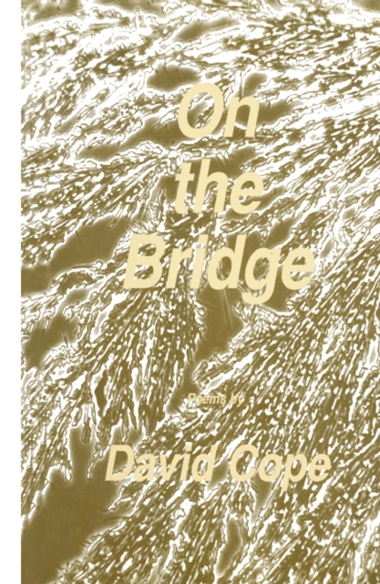 Book Cover for On the Bridge by David Cope