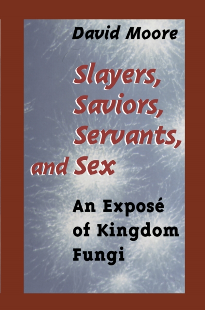 Book Cover for Slayers, Saviors, Servants and Sex by David Moore