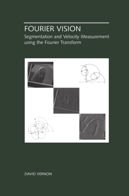 Book Cover for Fourier Vision by Vernon, David