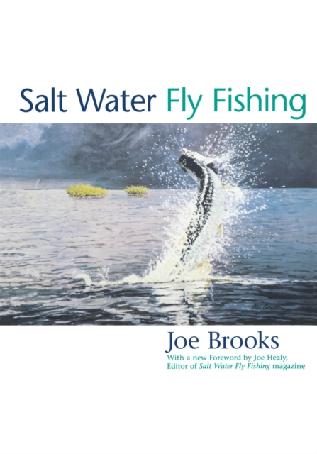 Book Cover for Salt Water Fly Fishing by Joe Brooks