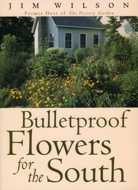 Book Cover for Bulletproof Flowers for the South by Jim Wilson